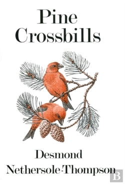 Bertrand.pt - Pine Crossbills