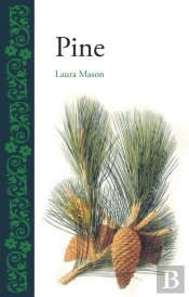 Pine