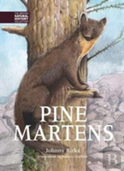 Pine Martens