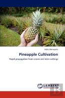 Pineapple Cultivation