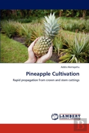 Pineapple Cultivation
