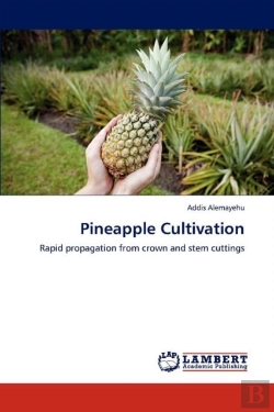 Bertrand.pt - Pineapple Cultivation