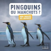 Pingouins Ou Manchots ?