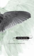Pinion