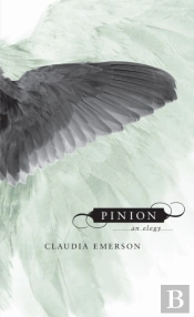 Pinion