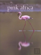 Pink Africa ; Flamants Roses
