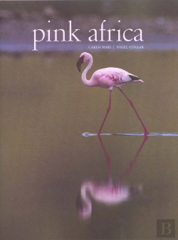 Bertrand.pt - Pink Africa ; Flamants Roses