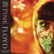 Pink Floyd Kaleidoscope Of Conundrums