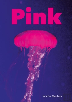 Bertrand.pt - Pink (Set 04)