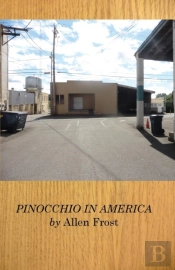 Pinocchio In America