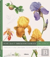 Pinturas Y Dibujos Botanicos Para Artistas