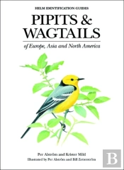 Pipits And Wagtails Of Europe, Asia And North America