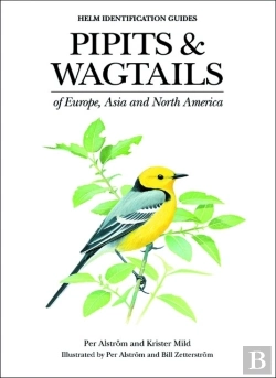 Bertrand.pt - Pipits And Wagtails Of Europe, Asia And North America