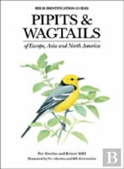 Pipits And Wagtails Of Europe, Asia And North America