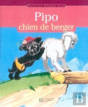 Pipo Chien De Berger