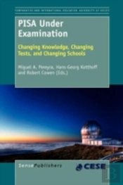Pisa Under Examination