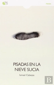 Pisadas En La Nieve Sucia  