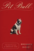 Pit Bull