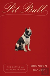Pit Bull