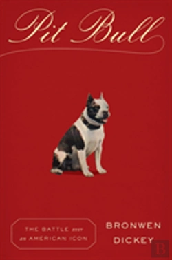 Bertrand.pt - Pit Bull