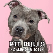 Pit Bulls