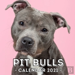 Bertrand.pt - Pit Bulls