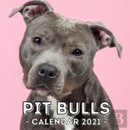 Pit Bulls