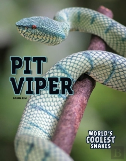 Bertrand.pt - Pit Viper