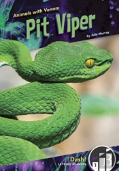 Pit Viper