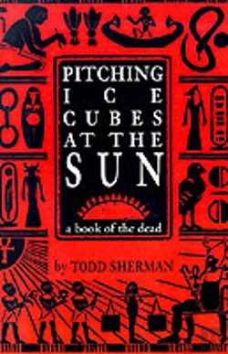 Bertrand.pt - Pitching Ice Cubes At The Sun