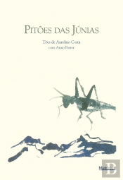 Pitões das Júnias