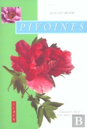 Pivoines ; Comment Les Choisir Et Les Cultiver Facilement