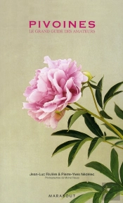 Pivoines