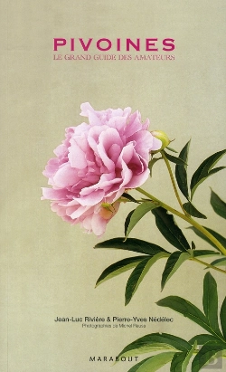 Bertrand.pt - Pivoines