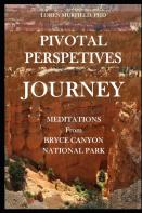 Pivotal Perspectives