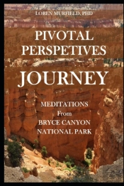 Pivotal Perspectives