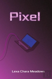 Pixel