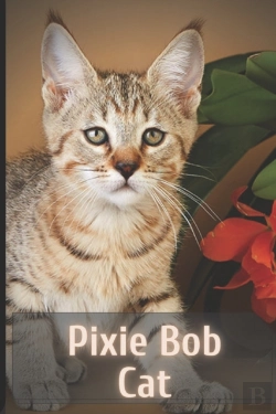 Bertrand.pt - Pixie Bob Cat