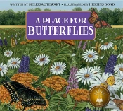 Place For Butterflies