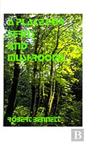 Place For Ferns And Mushrooms