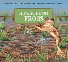 Place For Frogs