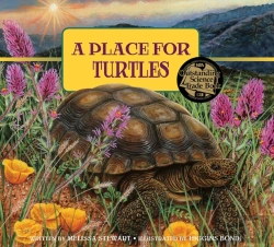 Bertrand.pt - Place For Turtles