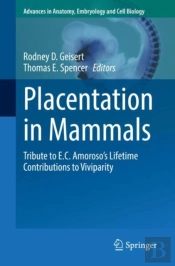 Placentation In Mammals