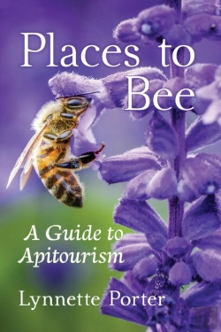 Bertrand.pt - Places To Bee