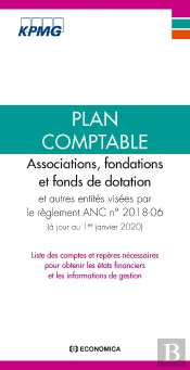 Plan Comptable : Associations, Fondations Et Fonds De Dotation (Édition 2020)