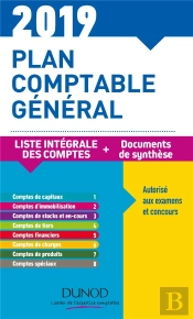 Plan Comptable Général ; Plan De Comptes & Documents De Synthèse (Dépliant Séparé) (Édition 2019)