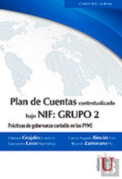 Plan De Cuentas Bajo Nif: Grupo 2