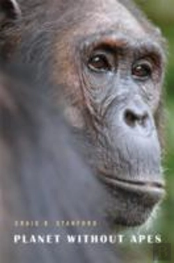 Bertrand.pt - Planet Without Apes