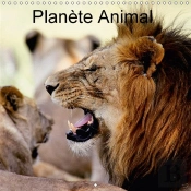Planete Animal Calendrier Mural 2018 300 300 Mm Square