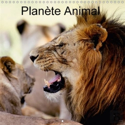 Bertrand.pt - Planete Animal Calendrier Mural 2018 300 300 Mm Square
